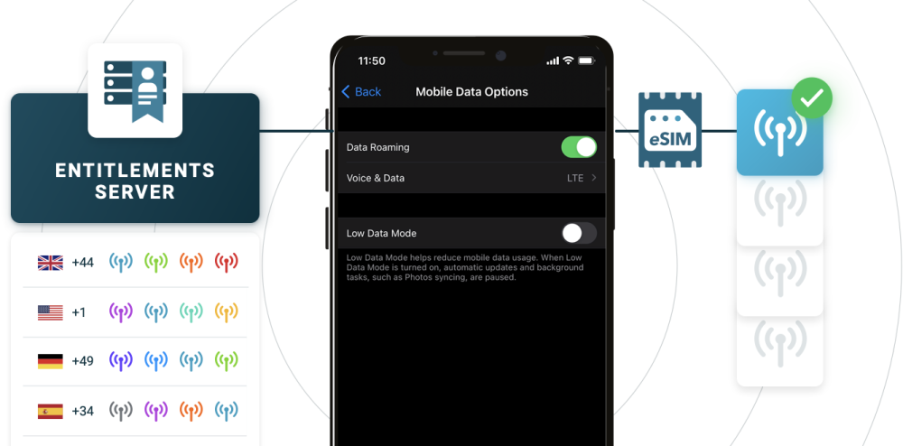 Apple preffered roaming network